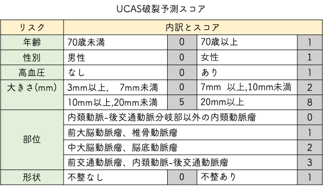 脳動脈瘤の好発部位