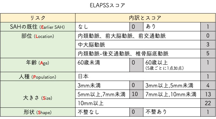 脳動脈瘤の好発部位