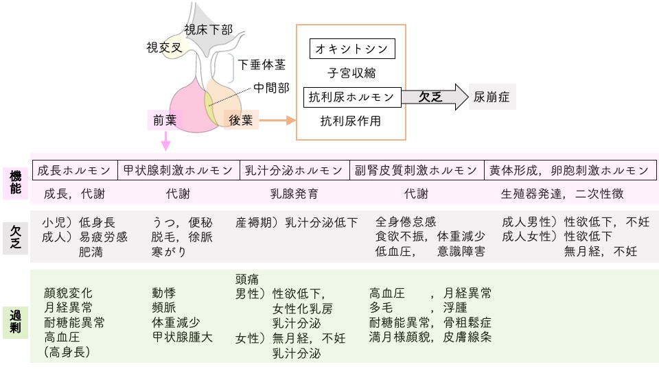 特徴1