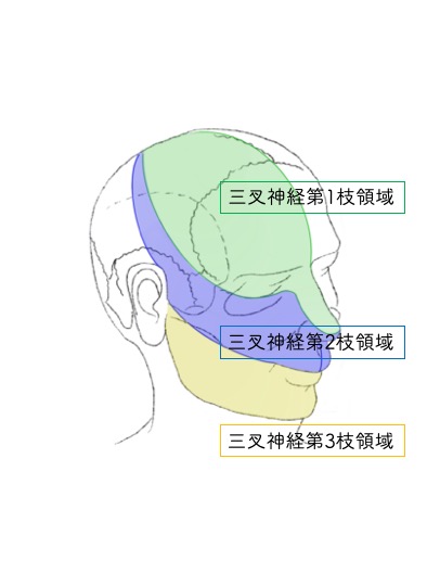 画像検査は必要?CT?MRI?