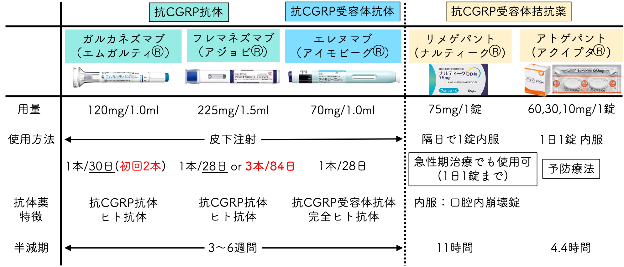 抗CGRP抗体薬・抗CGRP受容体抗体・抗CGRP受容体拮抗薬一覧
